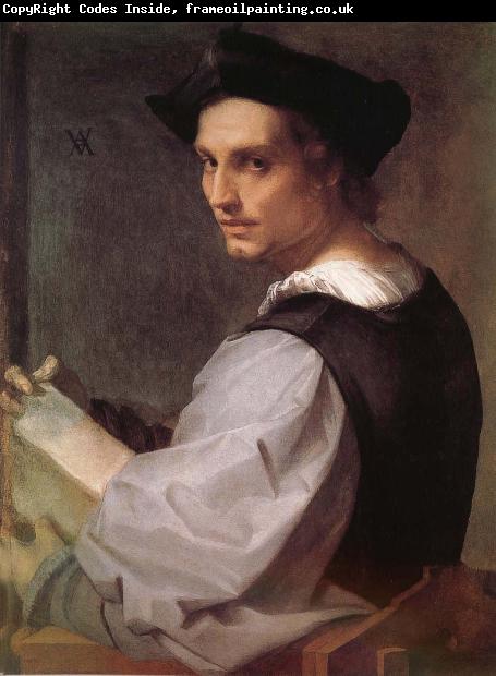 Andrea del Sarto Portrait of man